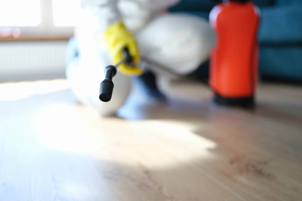 Best Air Quality Testing for Mold Spores  in Gastonia, NC